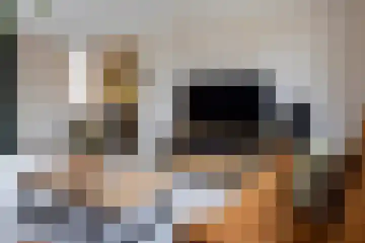 Duistelbeemd 1 Reusel thumbnail 14
