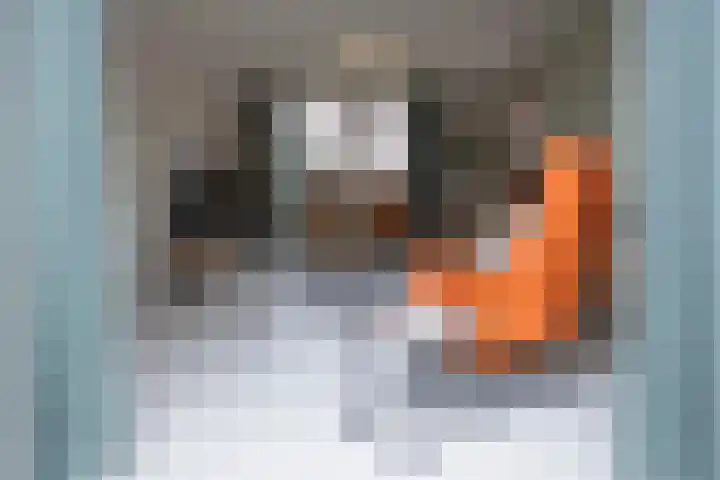 Duistelbeemd 1 Reusel thumbnail 17
