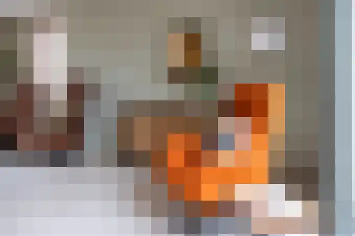 Duistelbeemd 1 Reusel thumbnail 22