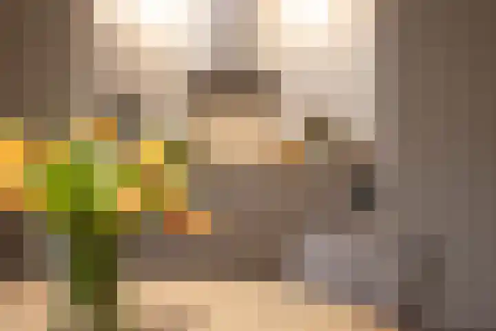 Duistelbeemd 1 Reusel thumbnail 28