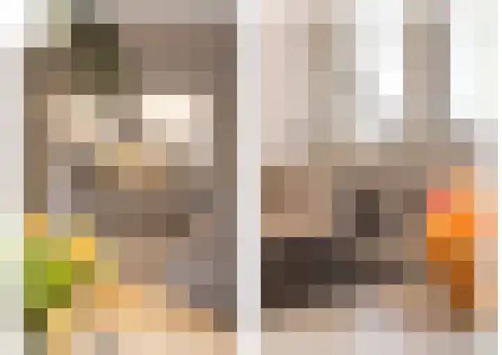 Duistelbeemd 1 Reusel thumbnail 31