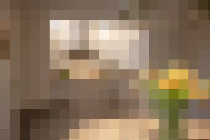 Duistelbeemd 1 Reusel thumbnail 33