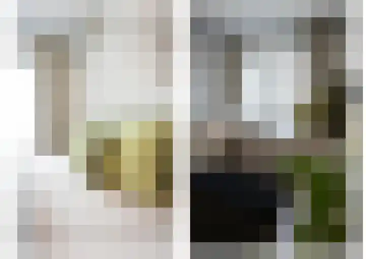 Duistelbeemd 1 Reusel thumbnail 37