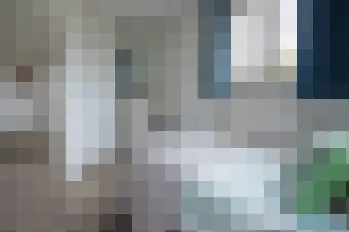 Duistelbeemd 1 Reusel thumbnail 45