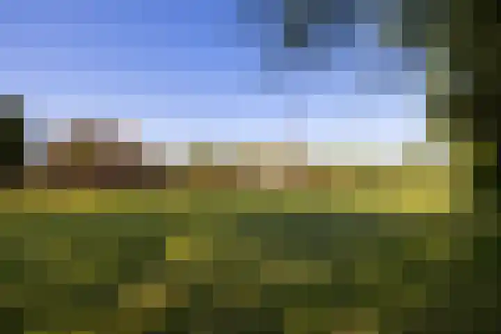 Duisterestraat 10 Epe thumbnail 10