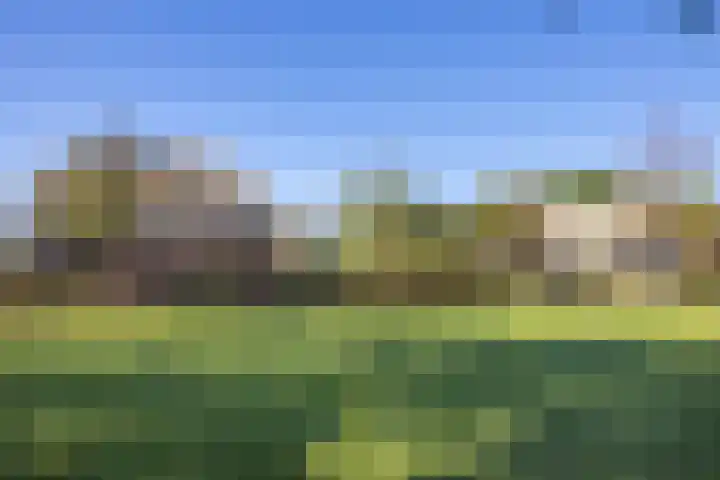 Duisterestraat 10 Epe thumbnail 11