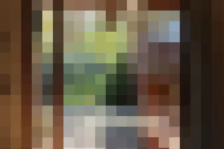 Duisterestraat 10 Epe thumbnail 13