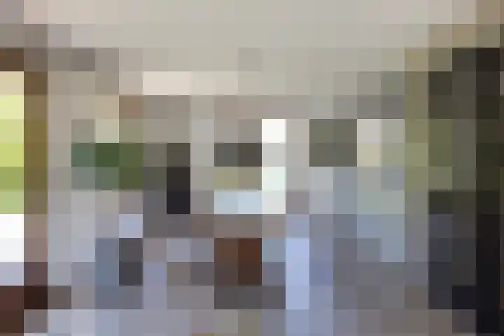 Duisterestraat 10 Epe thumbnail 18