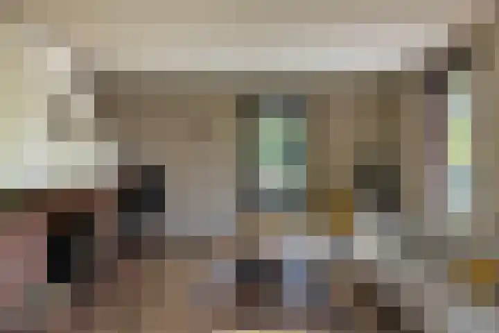 Duisterestraat 10 Epe thumbnail 21