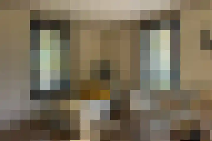 Duisterestraat 10 Epe thumbnail 22