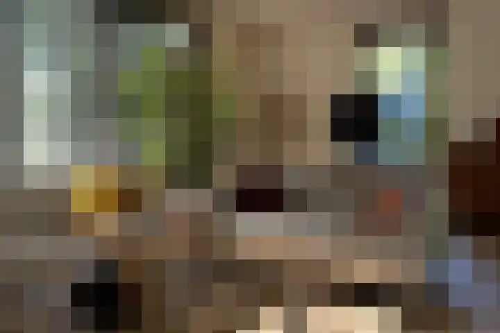 Duisterestraat 10 Epe thumbnail 23