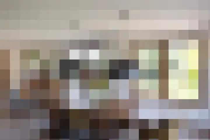 Duisterestraat 10 Epe thumbnail 24
