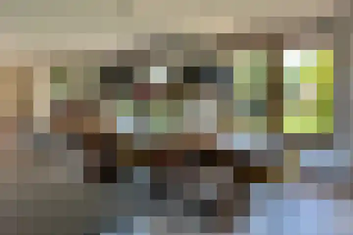 Duisterestraat 10 Epe thumbnail 25