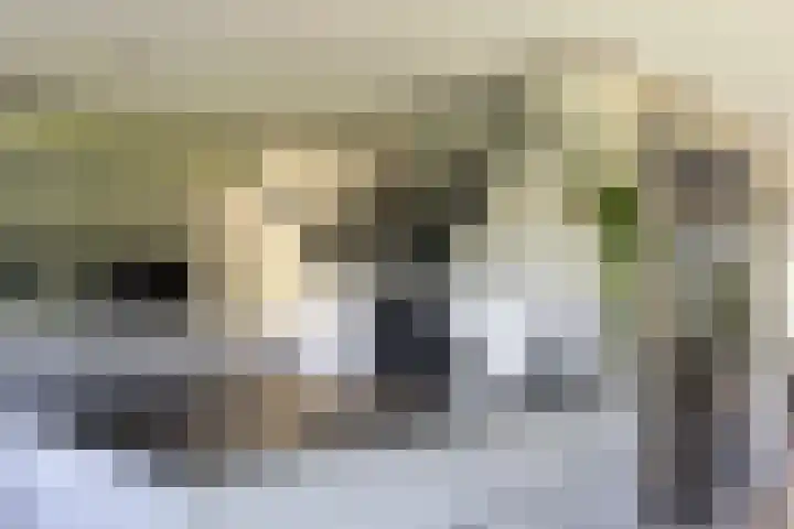 Duisterestraat 10 Epe thumbnail 26