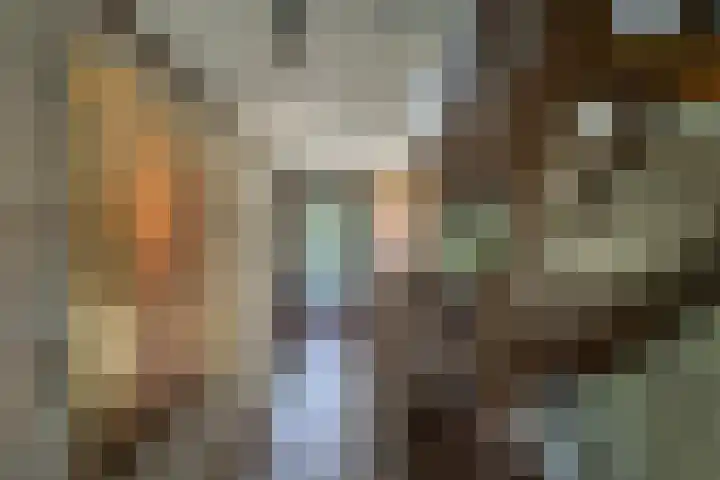 Duisterestraat 10 Epe thumbnail 29