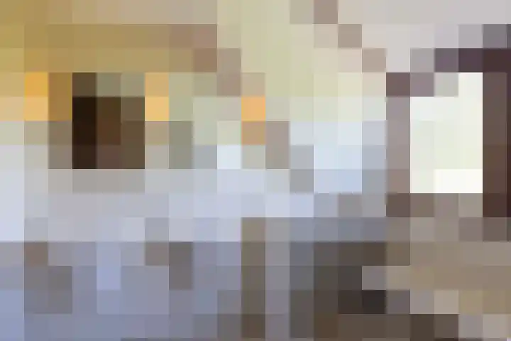 Duisterestraat 10 Epe thumbnail 38