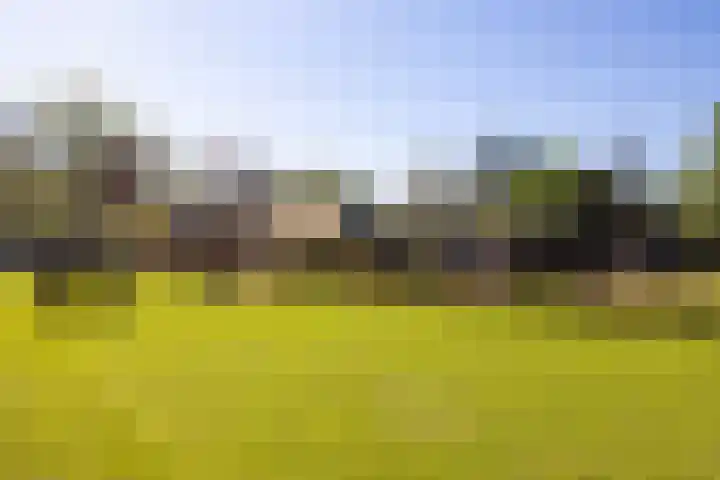 Duisterestraat 10 Epe thumbnail 4