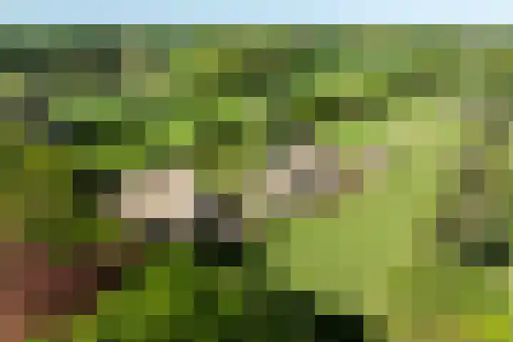 Duisterestraat 10 Epe thumbnail 41