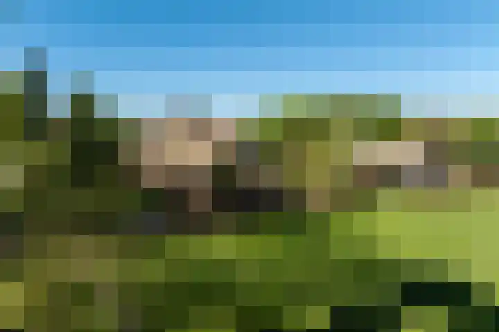 Duisterestraat 10 Epe thumbnail 42