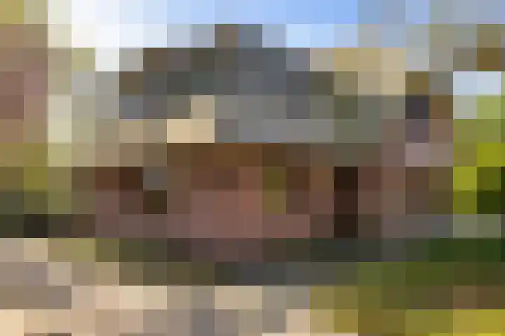 Duisterestraat 10 Epe thumbnail 44
