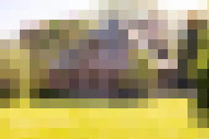 Duisterestraat 10 Epe thumbnail 45