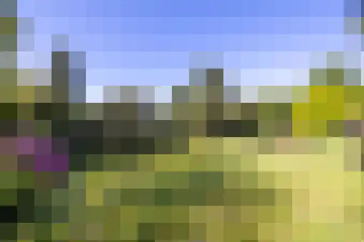 Duisterestraat 10 Epe thumbnail 46