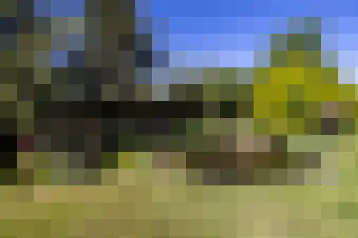 Duisterestraat 10 Epe thumbnail 47