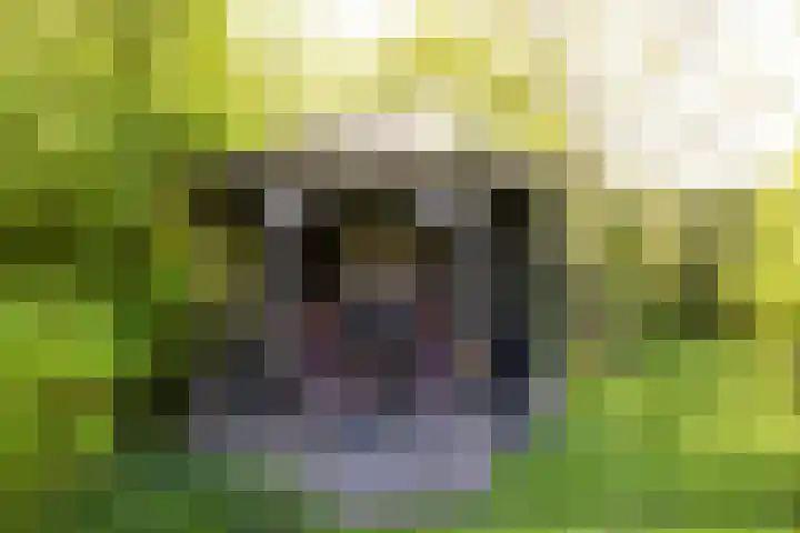 Duisterestraat 10 Epe thumbnail 48