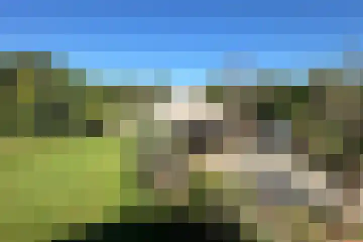 Duisterestraat 10 Epe thumbnail 49