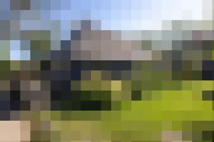 Duisterestraat 10 Epe thumbnail 54