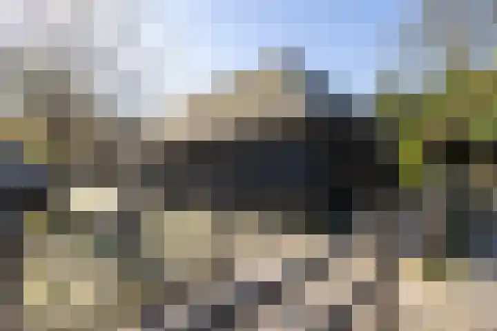 Duisterestraat 10 Epe thumbnail 55