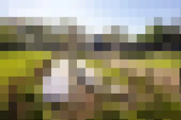 Duisterestraat 10 Epe thumbnail 57