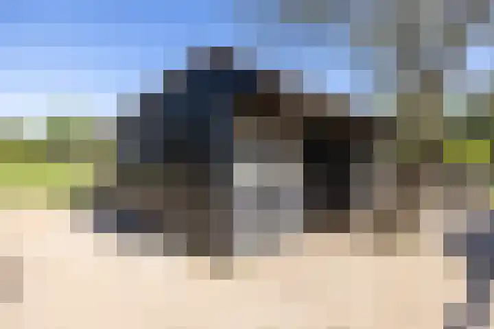 Duisterestraat 10 Epe thumbnail 58