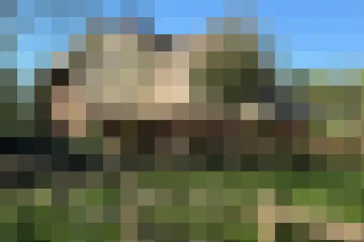 Duisterestraat 10 Epe thumbnail 6