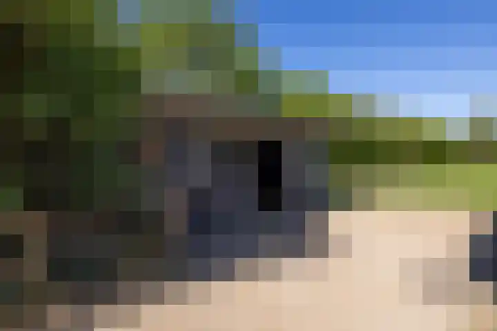 Duisterestraat 10 Epe thumbnail 60
