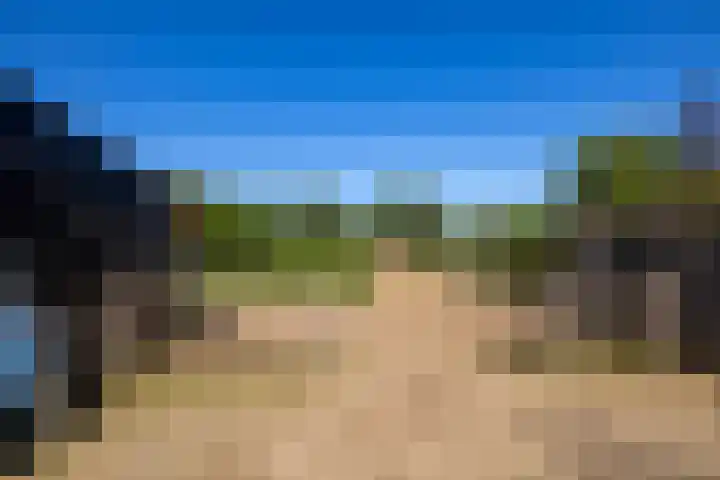 Duisterestraat 10 Epe thumbnail 62