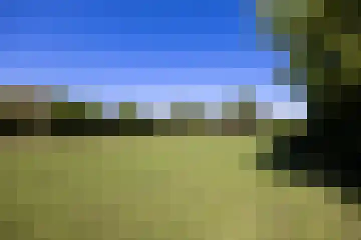 Duisterestraat 10 Epe thumbnail 64