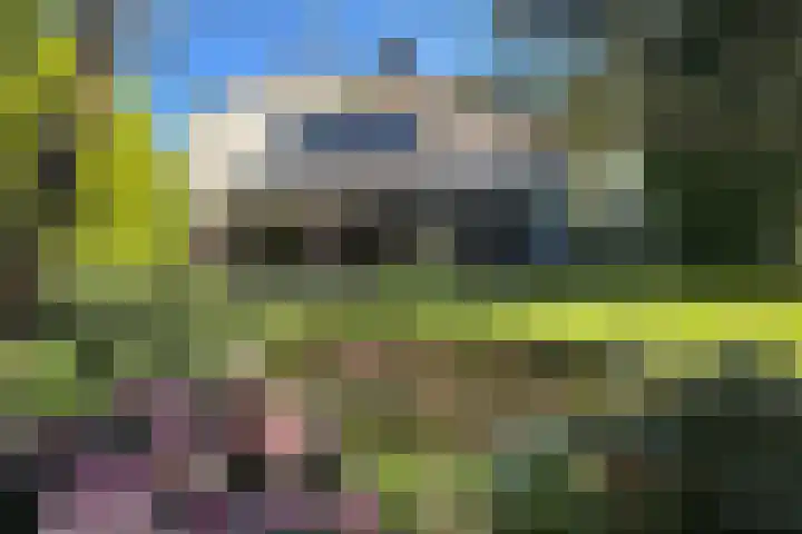 Duisterestraat 10 Epe thumbnail 66