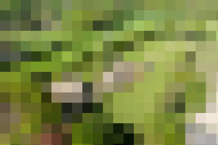 Duisterestraat 10 Epe thumbnail 69