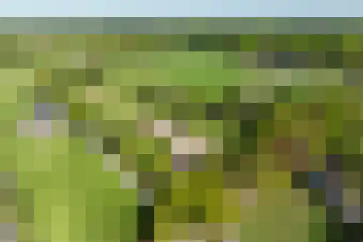 Duisterestraat 10 Epe thumbnail 70