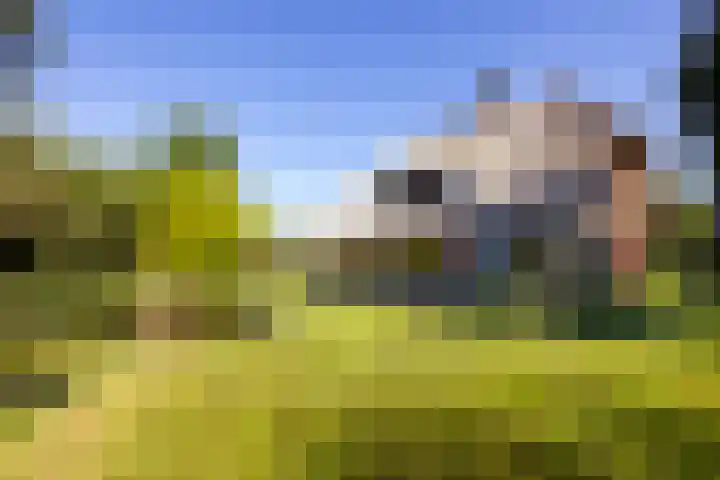 Duisterestraat 10 Epe thumbnail 8