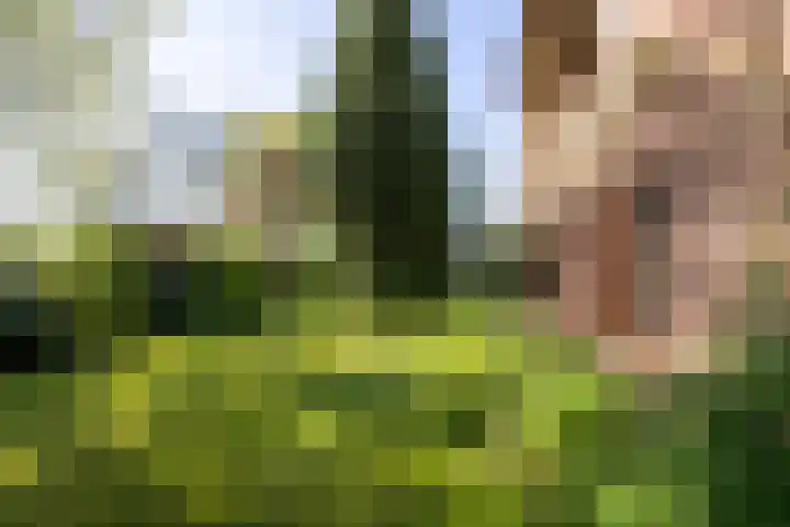 Duisterestraat 10 Epe thumbnail 9