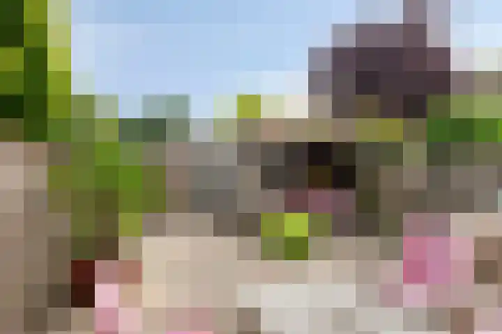 Duisterestraat 21 Heerde thumbnail 22