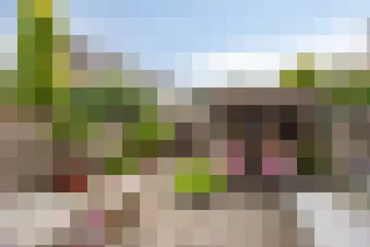 Duisterestraat 21 Heerde thumbnail 23