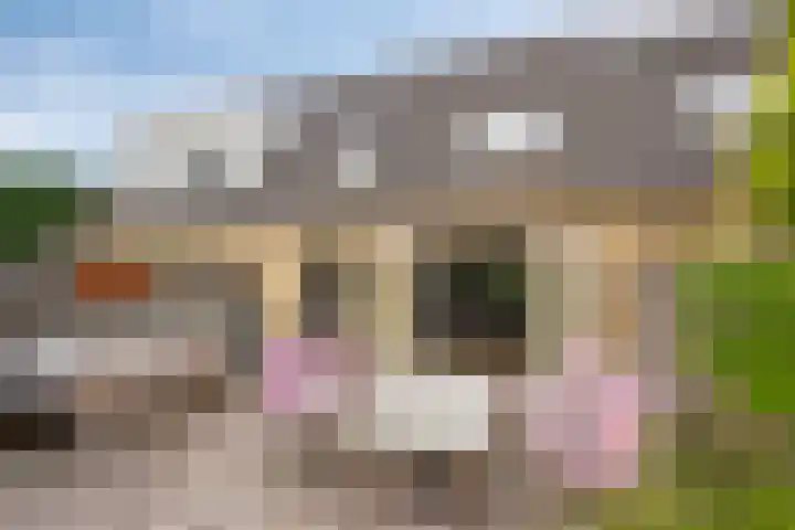 Duisterestraat 21 Heerde thumbnail 25