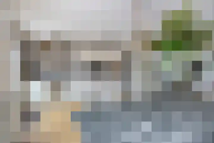 Duisterestraat 21 Heerde thumbnail 6