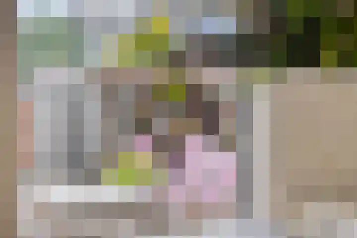 Duisterestraat 21 Heerde thumbnail 7