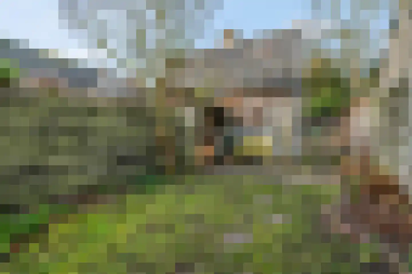 Duistereweg 10 Rhenen thumbnail 30