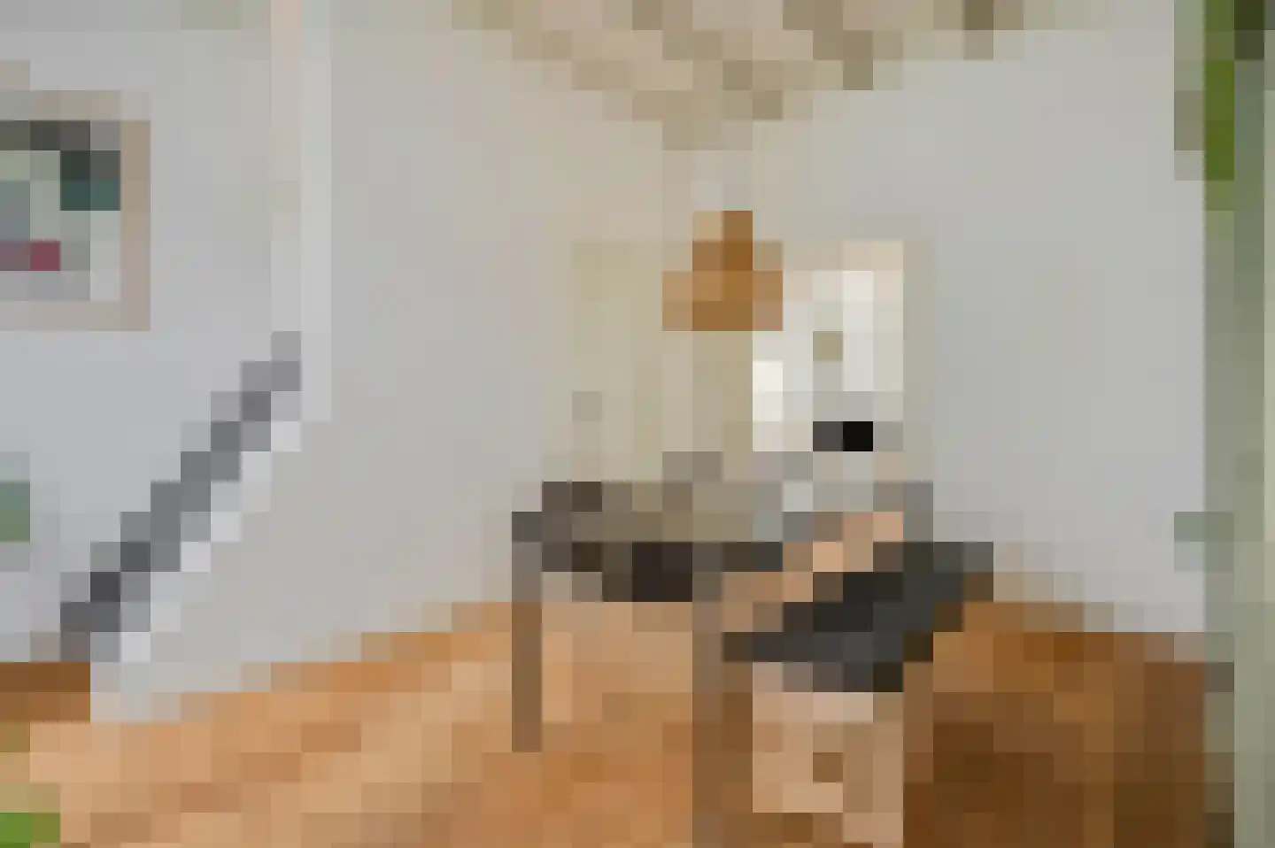 Duistereweg 10 Rhenen thumbnail 4