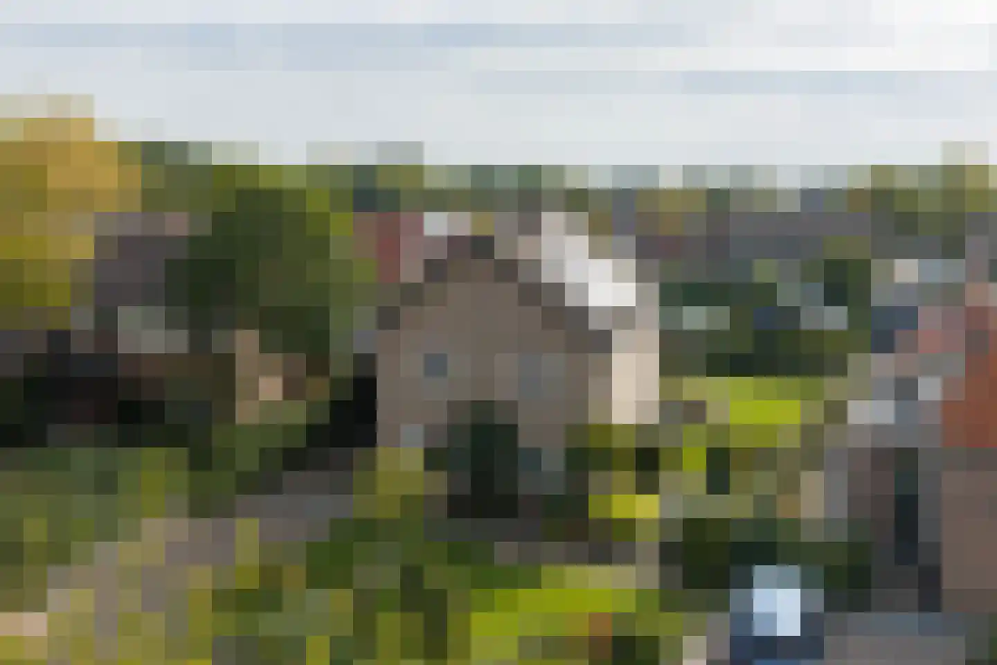 Duistervoordseweg 73 Twello thumbnail 10